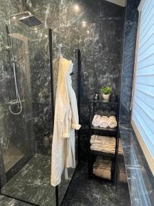 a bathroom with a shower and a glass shower stall at Sea Green House in Monciškės