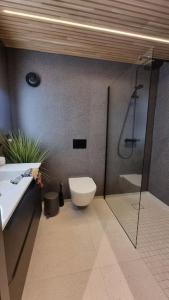 La salle de bains est pourvue de toilettes et d'une cabine de douche en verre. dans l'établissement Villa with amazing view! Free Parking, à Tomasjorda 19 autres photos