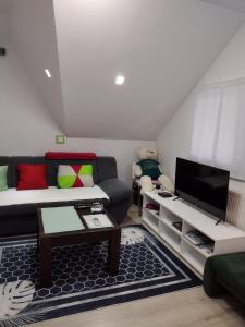TV a/nebo společenská místnost v ubytování Apartman Breza