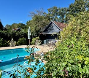 a house with a swimming pool and some plants at The Pool House in Den Dolder