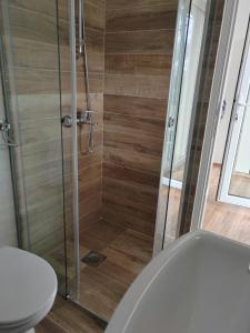 a bathroom with a shower with a toilet at Vila Čarna in Međuvršje +48 photos