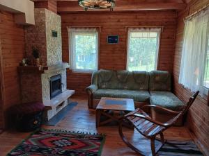 a living room with a couch and a fireplace at ЗАТИШОК in Oriv