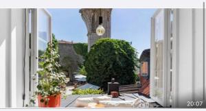 an open door to a patio with plants and a tree at Visby innerstad St Hans in Visby
