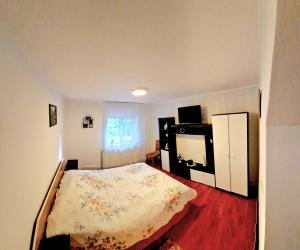 a bedroom with a bed and a television in it at Casa Kati in Buşteni