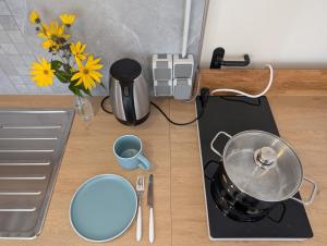 a counter top with a pot on a stove with flowers at Hof Zürnens Oase in Wolfegg