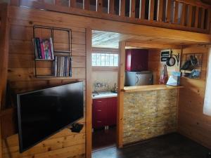 a living room with a flat screen tv in a cabin at Splav na Savi in Ostružnica