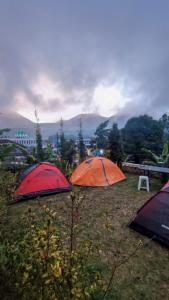 two umbrellas in a field with a mountain in the background at Ayudia Camp & Coffee in Bedugul +11 photos