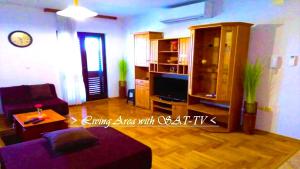 TV a/nebo společenská místnost v ubytování House White Stone Split