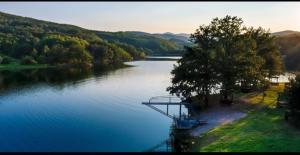 a view of a river with a bridge over it at Vila Tea Borsko Jezero in Bor