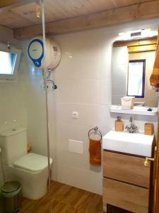 a bathroom with a toilet and a sink and a mirror at El Refugio del Valle in La Orotava