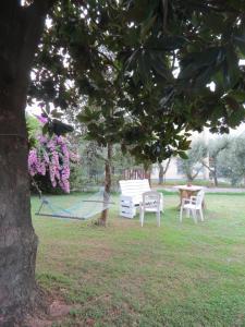 a hammock and chairs in a park under a tree at Casa Vacanze “Bouganville” loc Avane Pisa in Vecchiano
