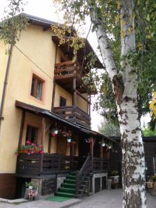 un gran edificio con un árbol delante en vila Dariana, en Vatra Dornei