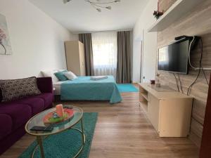 a living room with a couch and a tv at Happy M&S 2 in Šabac