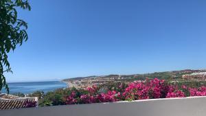 Příroda nedaleko prázdninového domu