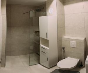 a bathroom with a toilet and a shower at LuxDS in Tuzla
