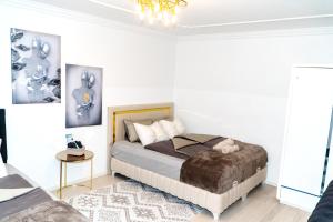 Fotografie z fotogalerie ubytování Spacious Rooms 5 Minutes to Wiener Stadthalle ve Vídni + 36 fotografií