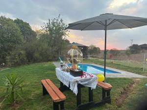 a table under an umbrella next to a pool at Merry Mongoose Riverside Tent in Skeerpoort +25 photos