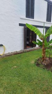 Gallery image of Los Arpones 4 in Maspalomas