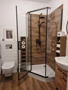 Ένα μπάνιο στο Apartament Fryderyk Łagów +46 φωτογραφίες