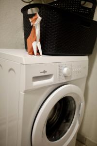 un panier posé sur une machine à laver dans l'établissement Studio douillet proche gare, à Clermont-Ferrand