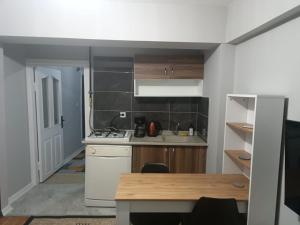 Kuchyň nebo kuchyňský kout v ubytování Otel şahmaran