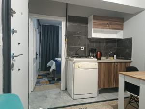 Kuchyň nebo kuchyňský kout v ubytování Otel şahmaran