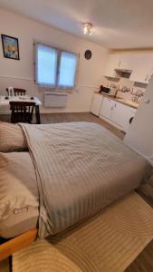 a large bed in the middle of a room at Studio Centre Historique in Vannes