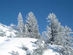 Ferienlodge Edelstein during the winter