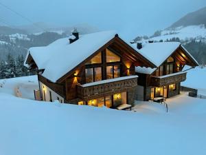 Ferienlodge Edelstein during the winter