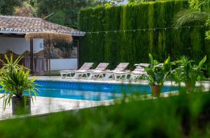 CambilにあるAlojamiento turístico Loma Altaのラウンジチェア付きのスイミングプール、