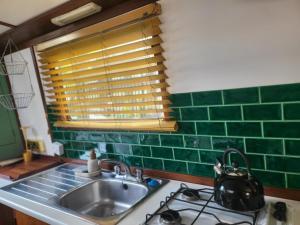 a kitchen with a sink and green tiles on the wall at Lovely Canal Boat in Little Venice for Family & Friends in London