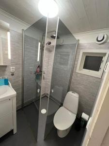 a bathroom with a shower with a toilet and a sink at Your Swedish Retreat in Alblasserdam