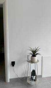 Fotografie z fotogalerie ubytování Guest house Ivan v destinaci Međugorje