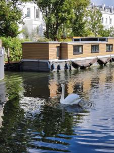 Ein Schwan schwimmt im Wasser neben einem Haus. in der Unterkunft Cosy Canal Boat in Little Venice by Paddington for Family & Friends in London