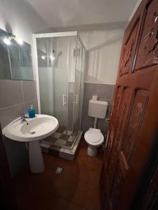ein Badezimmer mit Toilette, Waschbecken und Dusche in der Unterkunft Vila Movilă in Azuga + 30 Fotos