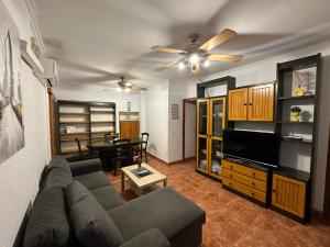Televízia a/alebo spoločenská miestnosť v ubytovaní Apartamentos & Rooms JP