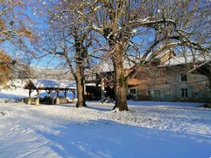 a snow covered yard with trees and a house at Ferme ancienne des tilleuls in Vinay