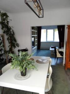 Posezení v ubytování Hasselt House