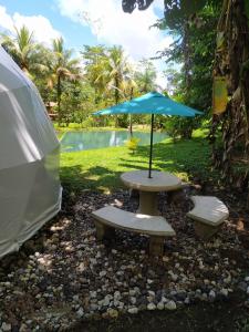 Billede fra billedgalleriet på Mineral River Eco Dome i Colonia Dos Ríos