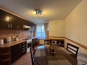 Kuchnia lub aneks kuchenny w obiekcie Apartamenty Bukowina