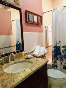 a bathroom with a sink and a toilet and a mirror at Casa de Bells 1 in Prospect Park