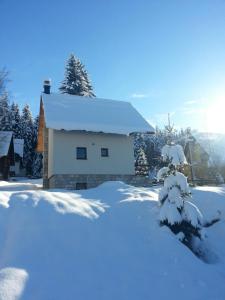 a house covered in snow with a pile of snow at Holiday Home Stevas in Žabljak