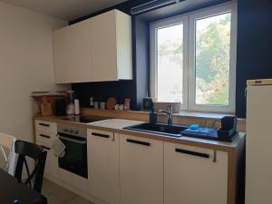 Cucina o angolo cottura di Kuća za odmor Kekec Fruška gora