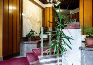 Zahrada ubytování Vittoria House Turin I - Appartamento al Valentino centro Torino