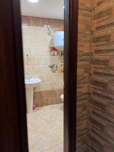 开罗Pyramids view的带淋浴、马桶和水槽的浴室