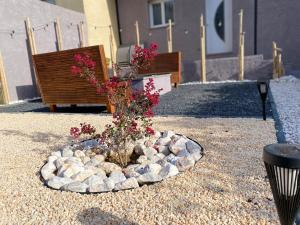 a flower bed with rocks and a plant in it at Can FRANCES - Maison avec jardin et terrasse proche mer - linge de maison inclus in Villelongue-de-la-Salanque