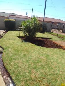 a yard with two palm trees in the grass at The Lobster Z&K in Soweto +1 photo