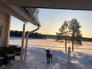 A cozy house with a guesthouse by the river v zimě