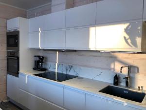 Kuchyň nebo kuchyňský kout v ubytování A cozy house with a guesthouse by the river