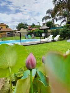 Πισίνα στο ή κοντά στο Cabañas Lauquen Villa Carlos Paz
